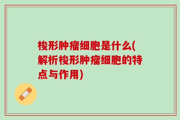 梭形肿瘤细胞是什么(解析梭形肿瘤细胞的特点与作用)