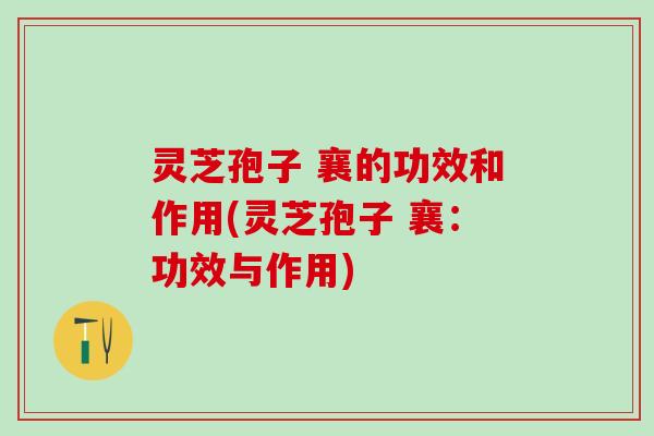 灵芝孢子 襄的功效和作用(灵芝孢子 襄：功效与作用)