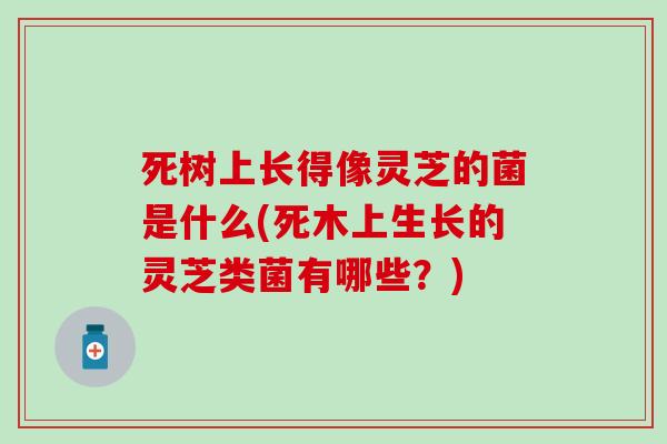死树上长得像灵芝的菌是什么(死木上生长的灵芝类菌有哪些？)
