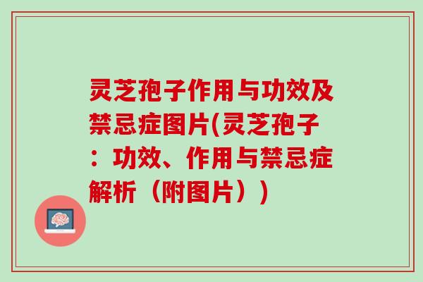 灵芝孢子作用与功效及禁忌症图片(灵芝孢子：功效、作用与禁忌症解析（附图片）)