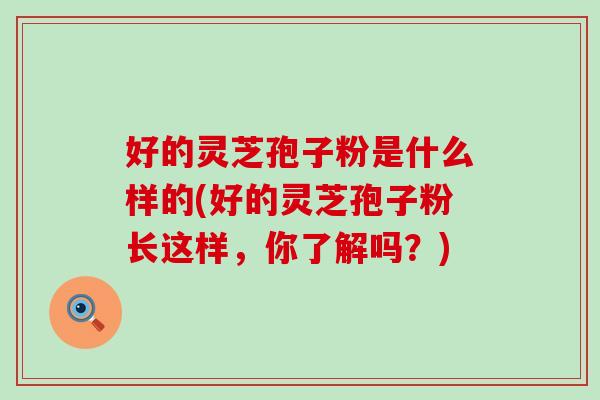 好的灵芝孢子粉是什么样的(好的灵芝孢子粉长这样,你了解吗?) 好的灵芝孢子粉是什么样的(好的灵芝孢子粉长这样,你了解吗?)