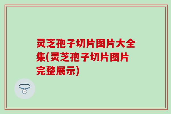 灵芝孢子切片图片大全集(灵芝孢子切片图片完整展示)