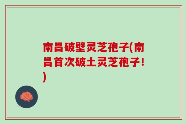 南昌破壁灵芝孢子(南昌首次破土灵芝孢子！)