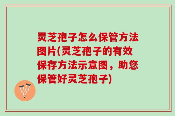 灵芝孢子怎么保管方法图片(灵芝孢子的有效保存方法示意图，助您保管好灵芝孢子)