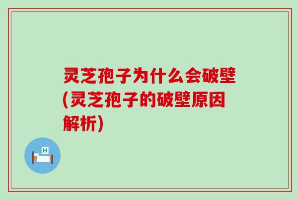 灵芝孢子为什么会破壁(灵芝孢子的破壁原因解析)