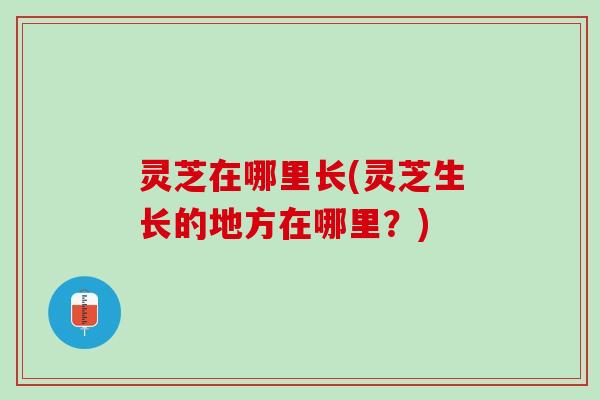灵芝在哪里长(灵芝生长的地方在哪里？)