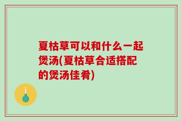 夏枯草可以和什么一起煲汤(夏枯草合适搭配的煲汤佳肴)