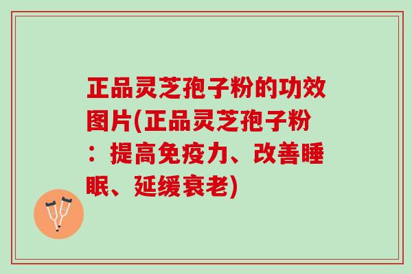 正品灵芝孢子粉的功效图片(正品灵芝孢子粉：提高免疫力、改善睡眠、延缓衰老)