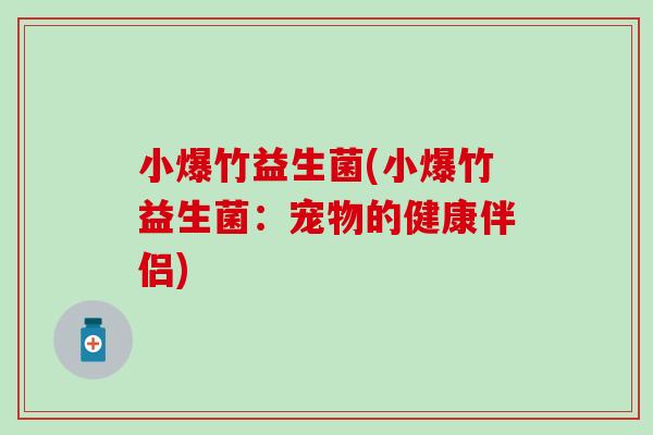 小爆竹益生菌(小爆竹益生菌：宠物的健康伴侣)