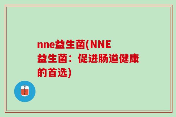 nne益生菌(NNE益生菌：促进肠道健康的首选)