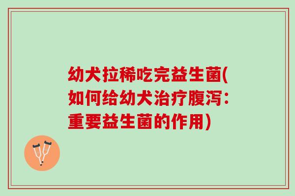 幼犬拉稀吃完益生菌(如何给幼犬治疗腹泻：重要益生菌的作用)