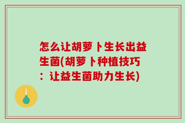 怎么让胡萝卜生长出益生菌(胡萝卜种植技巧：让益生菌助力生长)