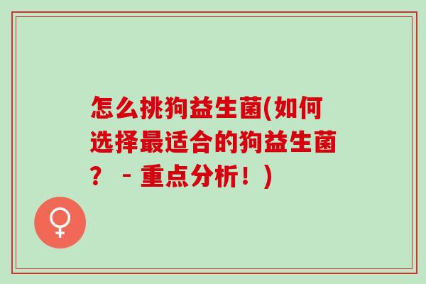 怎么挑狗益生菌(如何选择最适合的狗益生菌？ - 重点分析！)