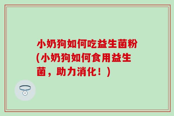 小奶狗如何吃益生菌粉(小奶狗如何食用益生菌,助力消化!) 小奶狗如何吃益生菌粉(小奶狗如何食用益生菌,助力消化!)