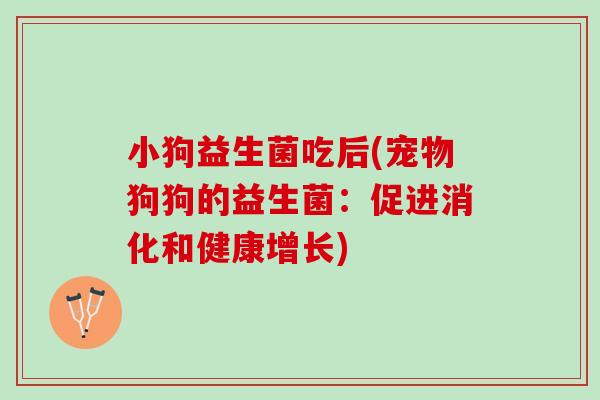 小狗益生菌吃后(宠物狗狗的益生菌：促进消化和健康增长)