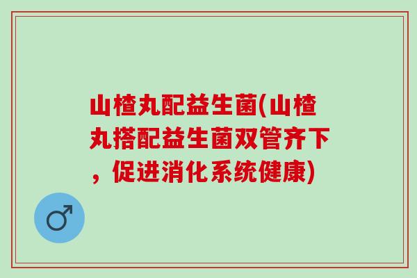 山楂丸配益生菌(山楂丸搭配益生菌双管齐下，促进消化系统健康)
