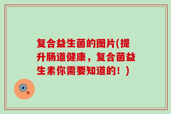 复合益生菌的图片(提升肠道健康，复合菌益生素你需要知道的！)