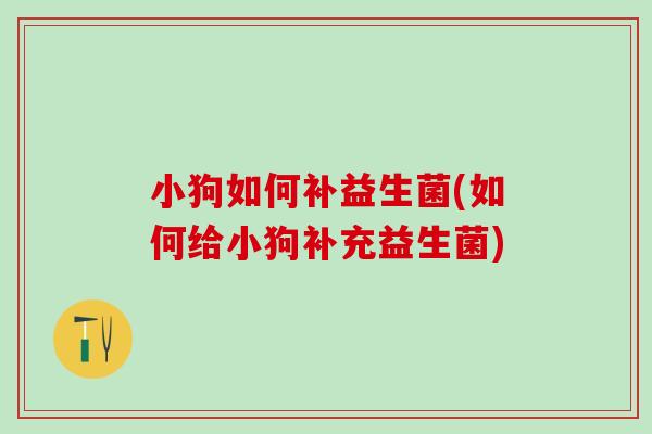小狗如何补益生菌(如何给小狗补充益生菌)