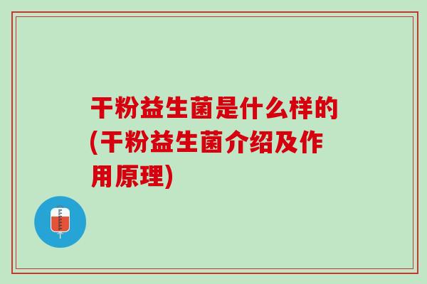 干粉益生菌是什么样的(干粉益生菌介绍及作用原理)