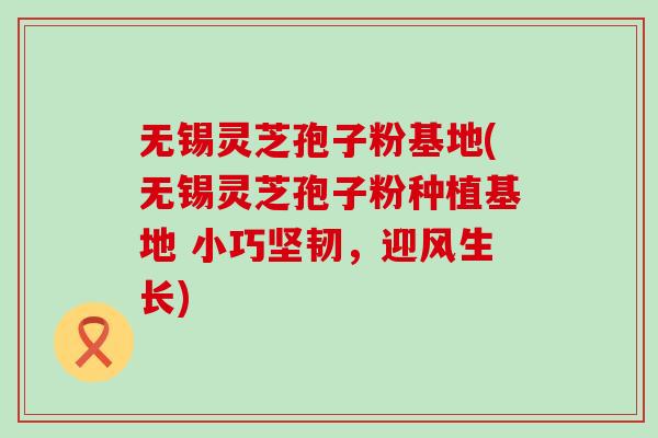无锡灵芝孢子粉基地(无锡灵芝孢子粉种植基地 小巧坚韧，迎风生长)