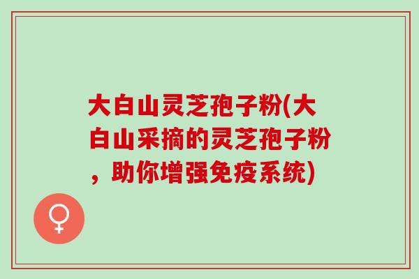 大白山灵芝孢子粉(大白山采摘的灵芝孢子粉，助你增强免疫系统)