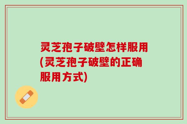 灵芝孢子破壁怎样服用(灵芝孢子破壁的正确服用方式)
