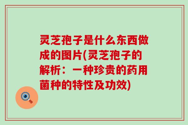 灵芝孢子是什么东西做成的图片(灵芝孢子的解析：一种珍贵的药用菌种的特性及功效)
