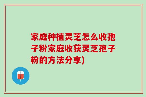 家庭种植灵芝怎么收孢子粉家庭收获灵芝孢子粉的方法分享)