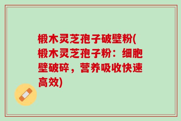 椴木灵芝孢子破壁粉(椴木灵芝孢子粉：细胞壁破碎，营养吸收快速高效)