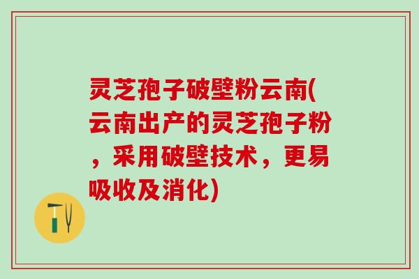 灵芝孢子破壁粉云南(云南出产的灵芝孢子粉，采用破壁技术，更易吸收及消化)