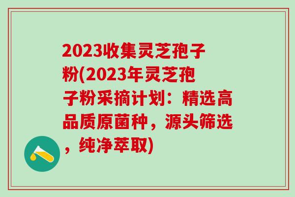 2023收集灵芝孢子粉(2023年灵芝孢子粉采摘计划：精选高品质原菌种，源头筛选，纯净萃取)