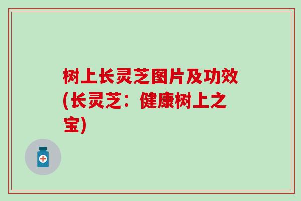 树上长灵芝图片及功效(长灵芝：健康树上之宝)