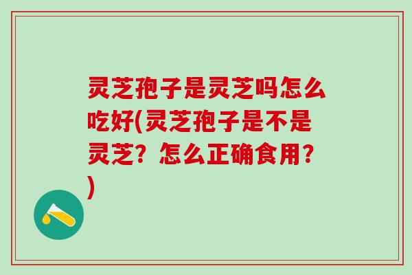 灵芝孢子是灵芝吗怎么吃好(灵芝孢子是不是灵芝？怎么正确食用？)