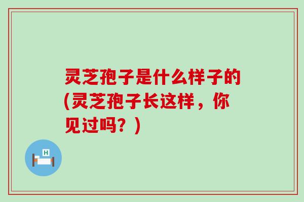 灵芝孢子是什么样子的(灵芝孢子长这样，你见过吗？)