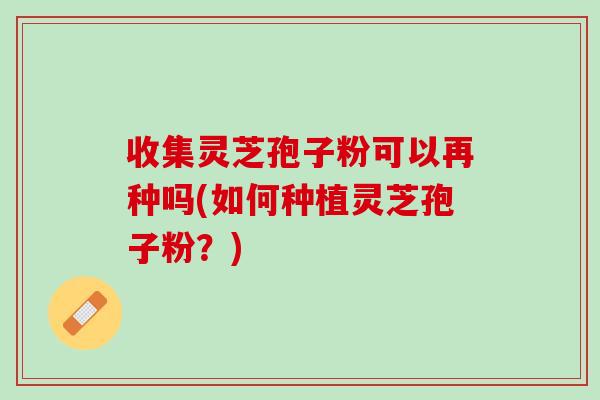 收集灵芝孢子粉可以再种吗(如何种植灵芝孢子粉？)