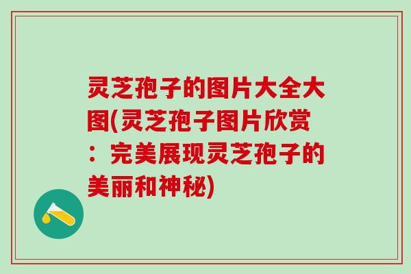 灵芝孢子的图片大全大图(灵芝孢子图片欣赏：完美展现灵芝孢子的美丽和神秘)