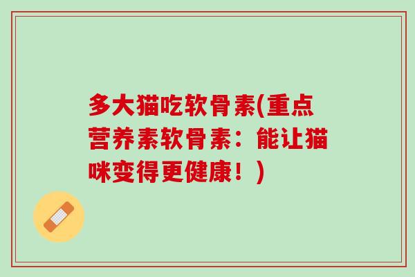 多大猫吃软骨素(重点营养素软骨素：能让猫咪变得更健康！)