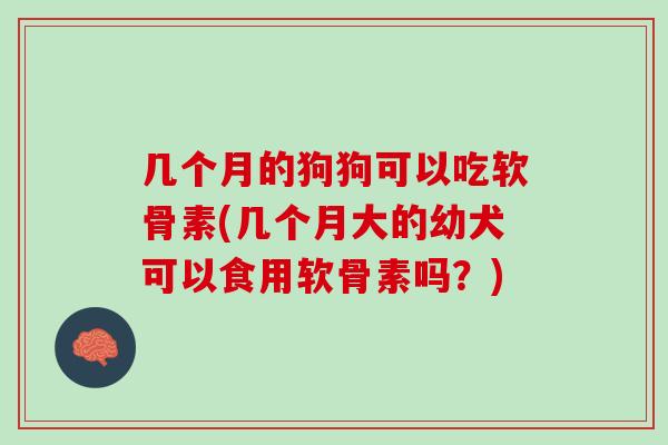 几个月的狗狗可以吃软骨素(几个月大的幼犬可以食用软骨素吗？)