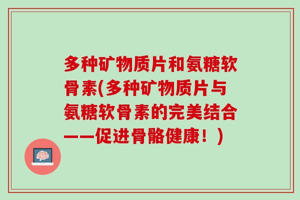 多种矿物质片和氨糖软骨素(多种矿物质片与氨糖软骨素的完美结合——促进骨骼健康！)
