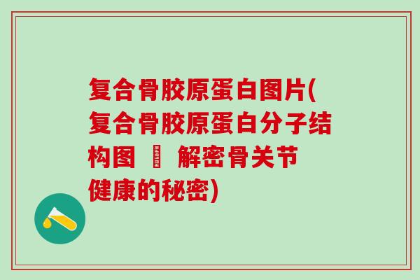 复合骨胶原蛋白图片(复合骨胶原蛋白分子结构图 – 解密骨关节健康的秘密)