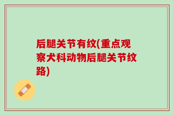 后腿关节有纹(重点观察犬科动物后腿关节纹路)