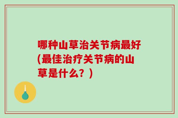 哪种山草治关节病最好(最佳治疗关节病的山草是什么？)