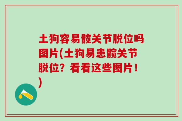 土狗容易髋关节脱位吗图片(土狗易患髋关节脱位？看看这些图片！)
