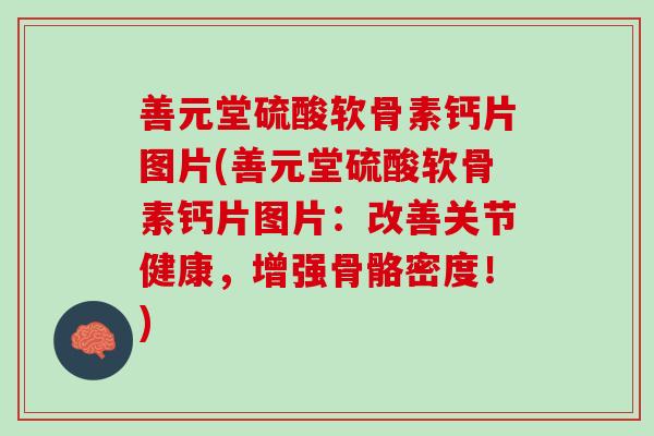 善元堂硫酸软骨素钙片图片(善元堂硫酸软骨素钙片图片：改善关节健康，增强骨骼密度！)
