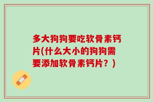 多大狗狗要吃软骨素钙片(什么大小的狗狗需要添加软骨素钙片？)
