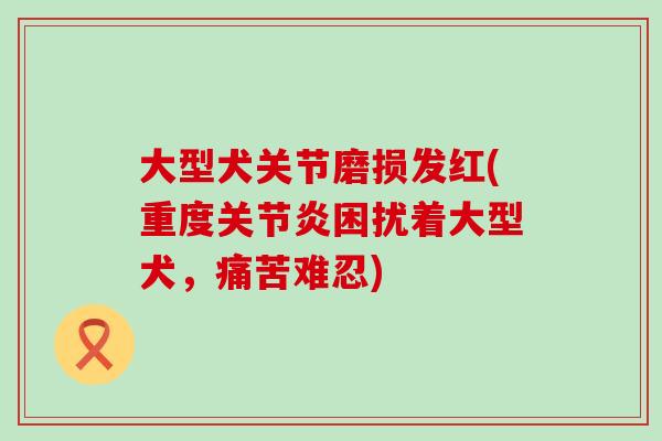大型犬关节磨损发红(重度关节炎困扰着大型犬，痛苦难忍)