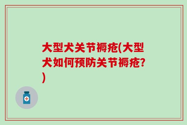 大型犬关节褥疮(大型犬如何预防关节褥疮？)