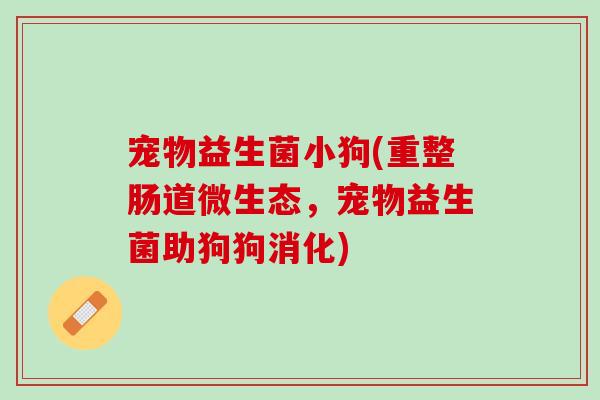 宠物益生菌小狗(重整肠道微生态，宠物益生菌助狗狗消化)