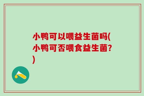 小鸭可以喂益生菌吗(小鸭可否喂食益生菌？)