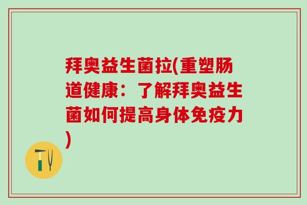 拜奥益生菌拉(重塑肠道健康：了解拜奥益生菌如何提高身体免疫力)